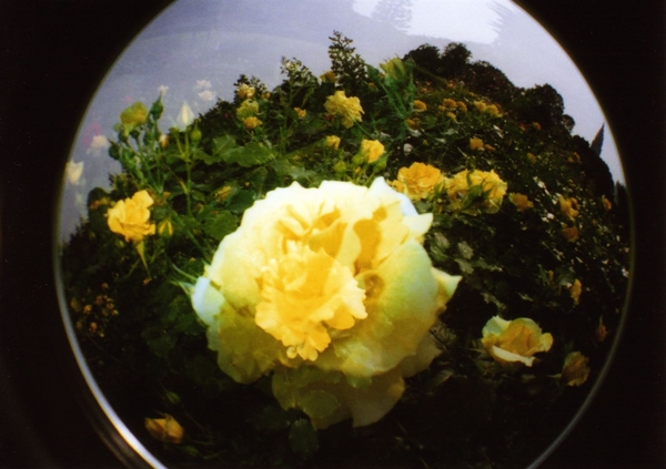 f:id:cyucyule:20080530002919j:image