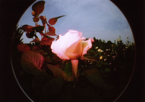 f:id:cyucyule:20080530003420j:image