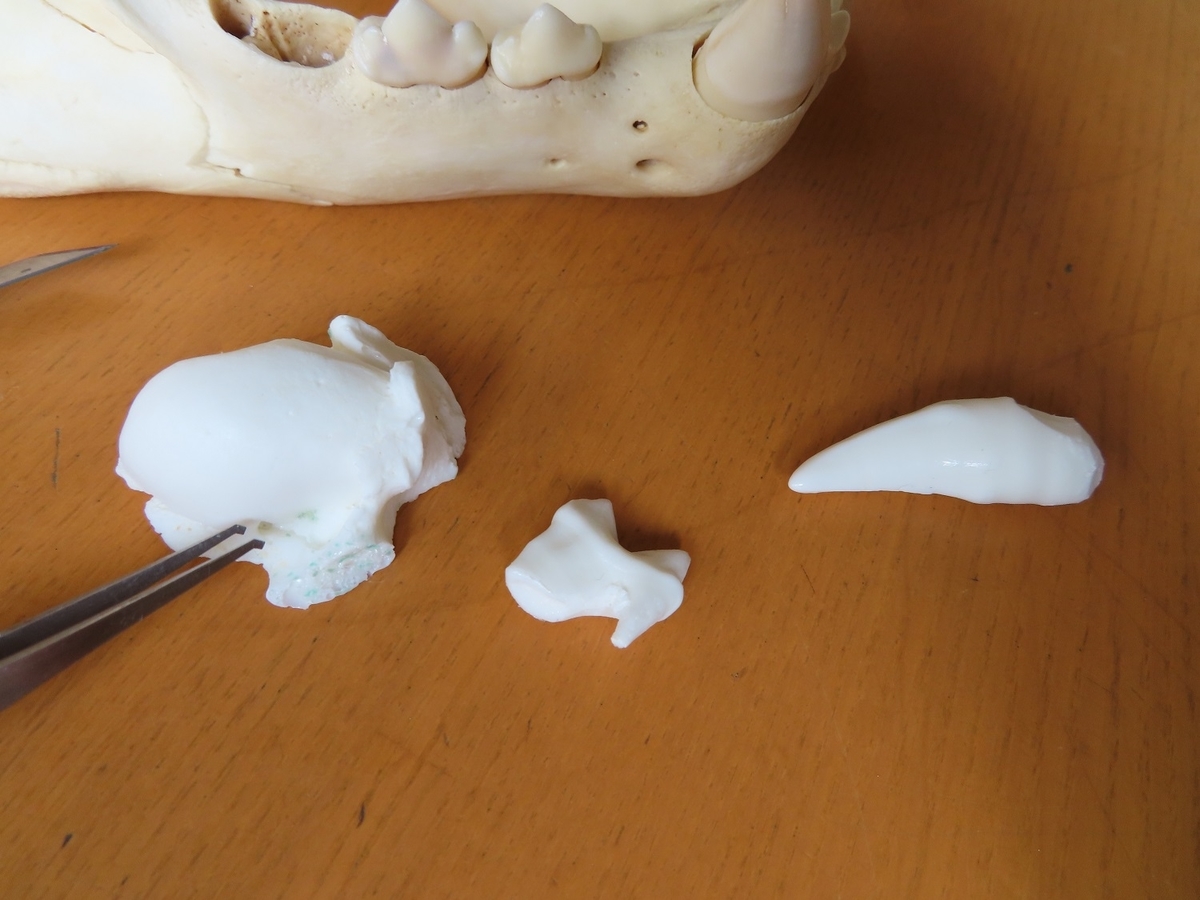 f:id:cyuuken1:20190928205944j:plain