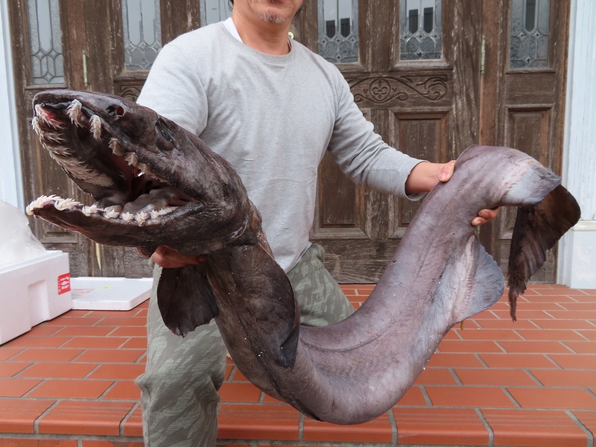 f:id:cyuuken1:20200916105309j:plain