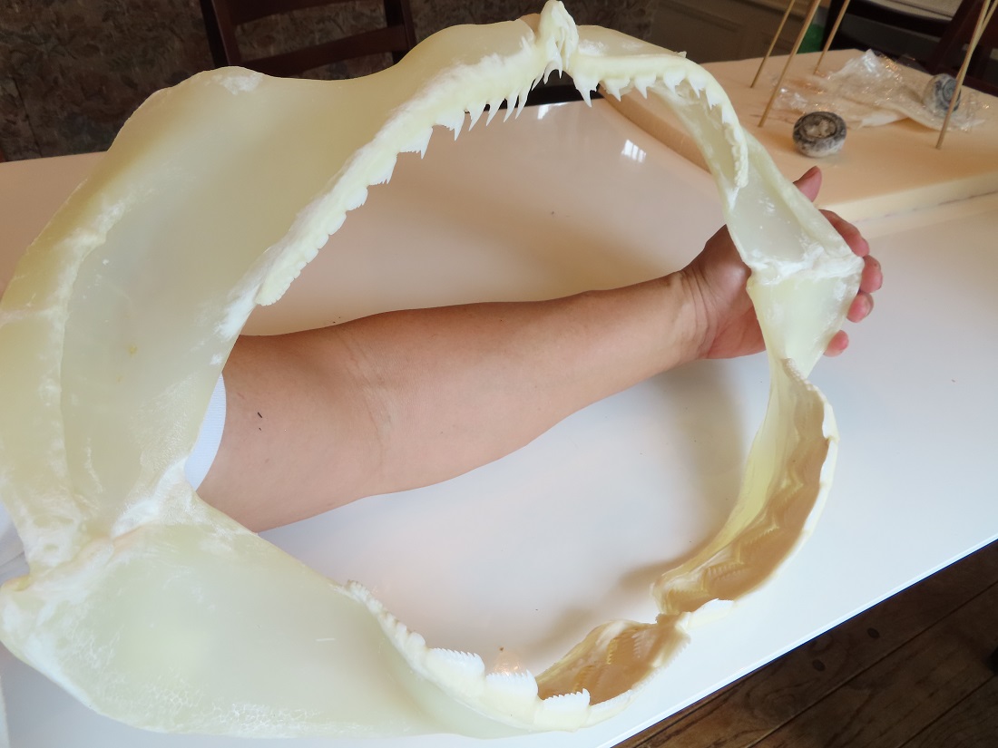 f:id:cyuuken1:20200916110014j:plain