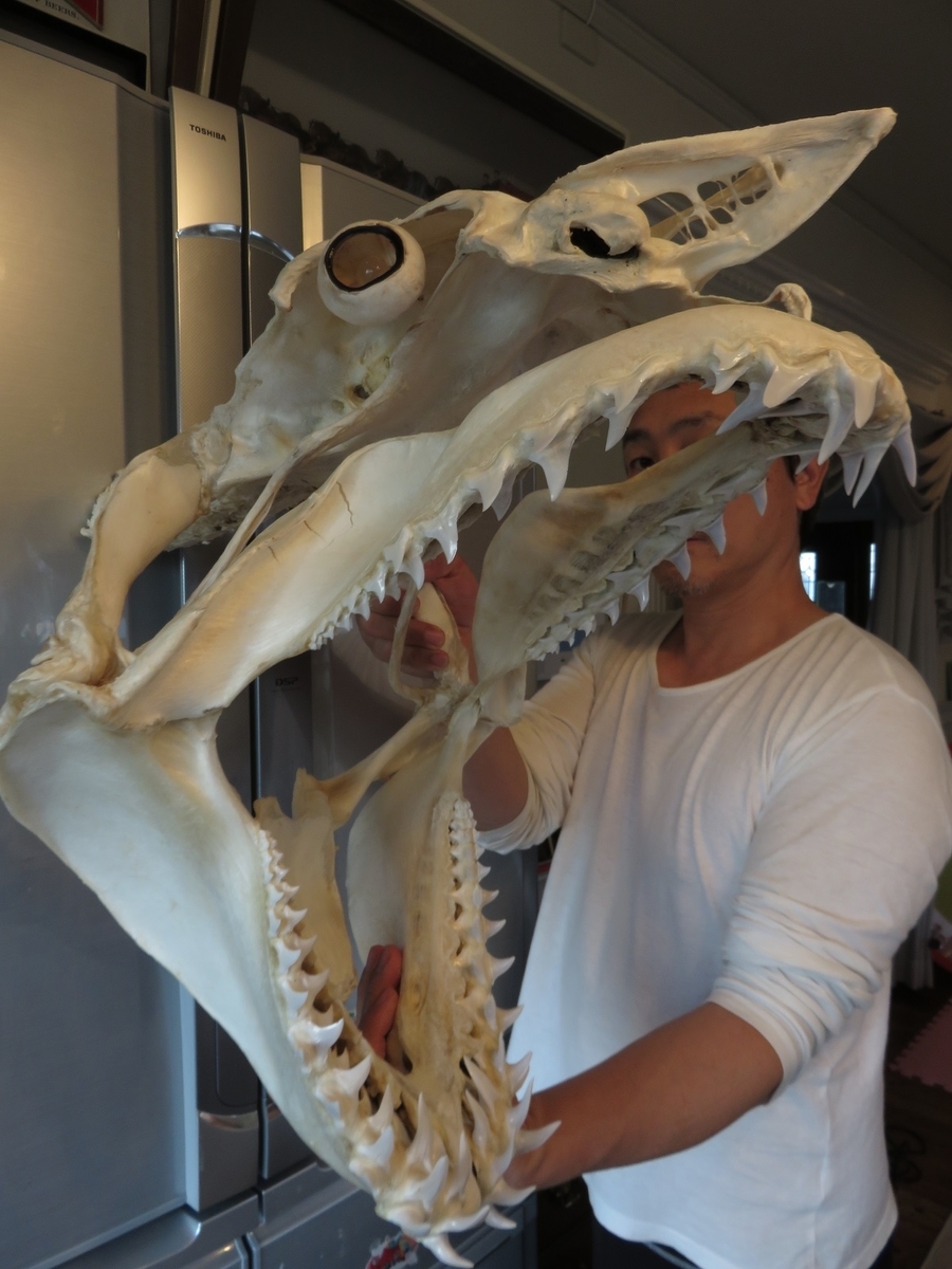 f:id:cyuuken1:20200916110413j:plain