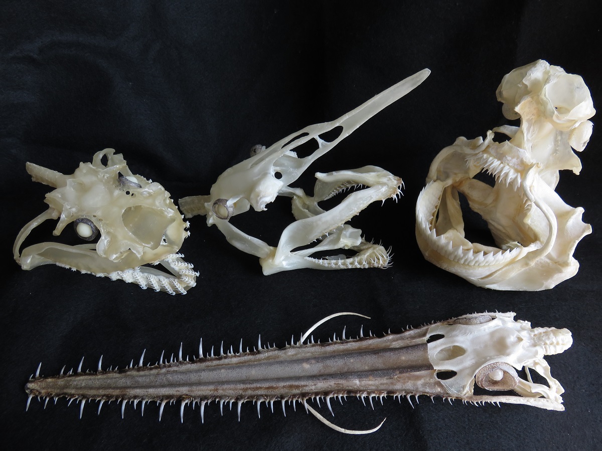 f:id:cyuuken1:20200916110436j:plain