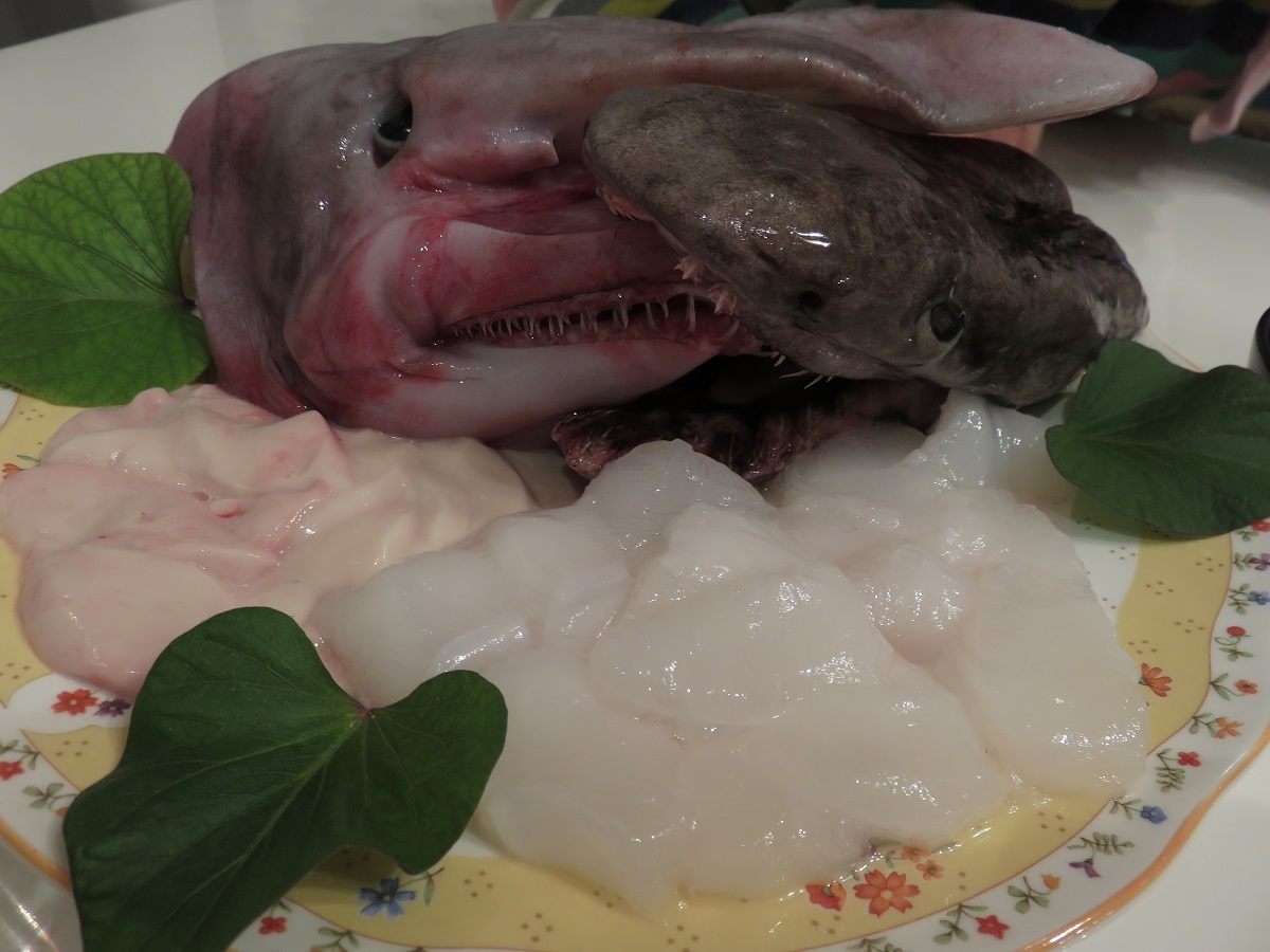 f:id:cyuuken1:20200916111510j:plain