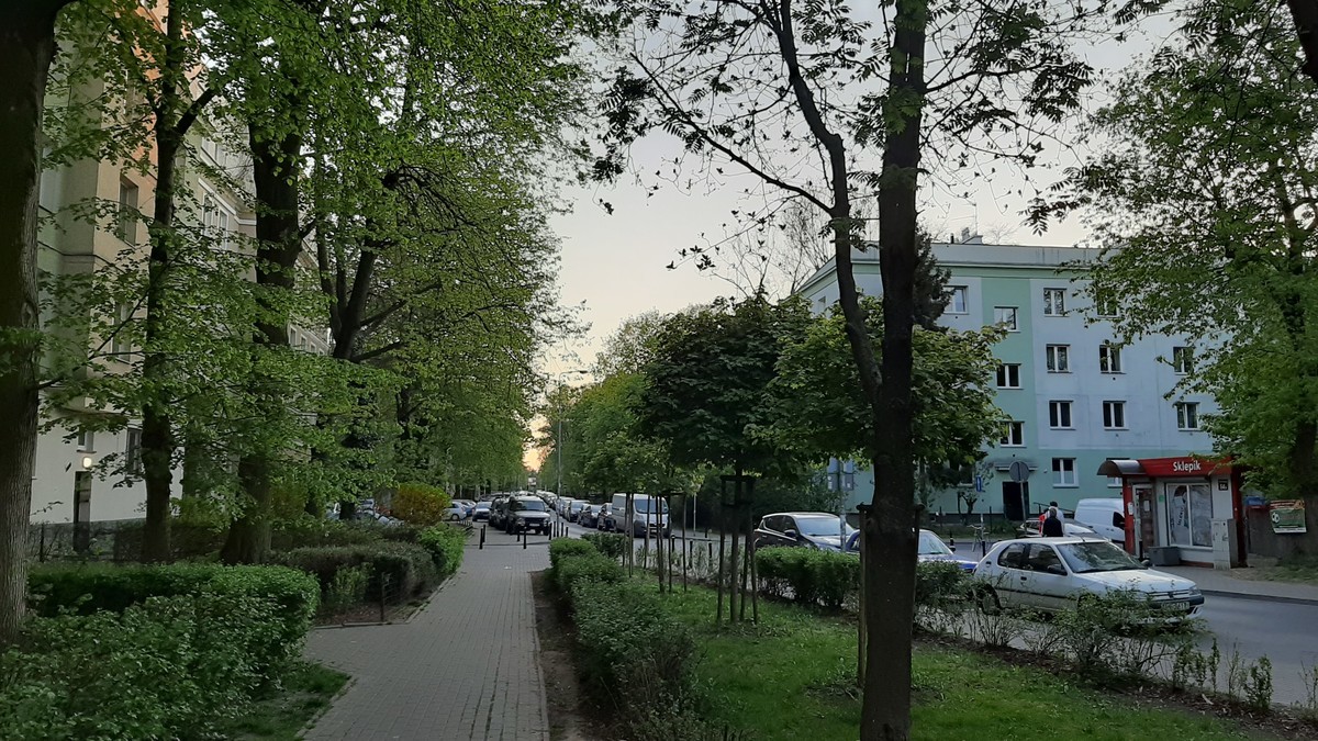 f:id:czarnykint:20200427193511j:plain