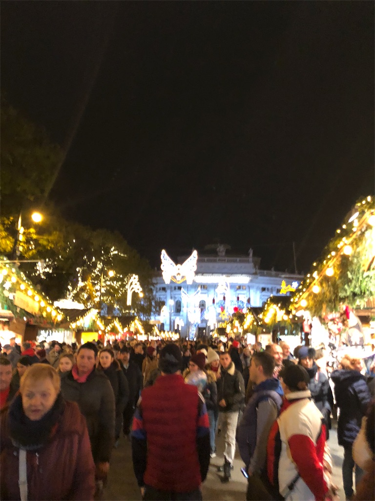f:id:czechstudyabroad:20181126183916j:image