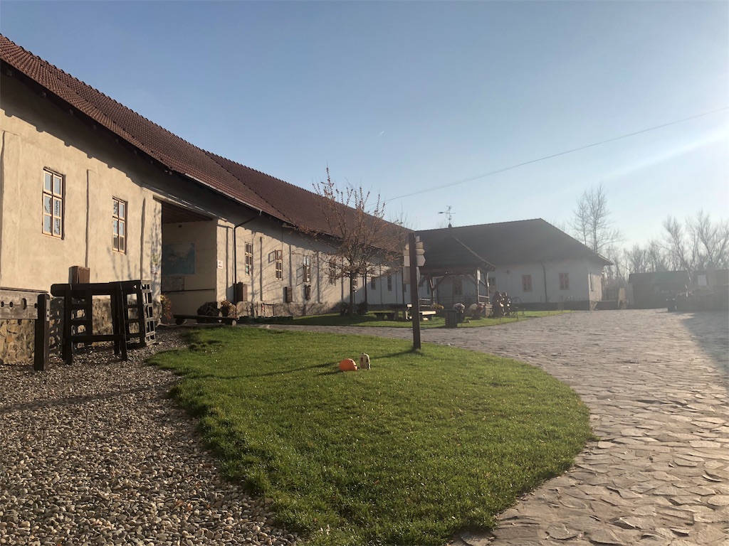 f:id:czechstudyabroad:20181202184201j:image
