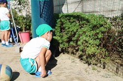 f:id:d-chuo:20161007104626j:plain