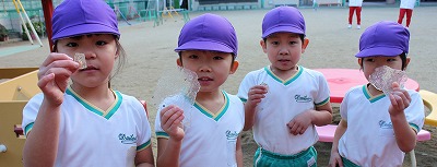 f:id:d-chuo:20170116091131j:plain f:id:d-chuo:20170116091131j:plain