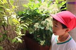f:id:d-chuo:20180518185826j:plain