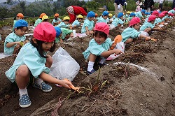 f:id:d-chuo:20181023130630j:plain