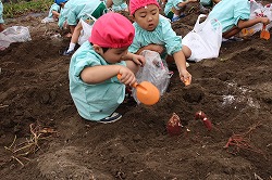 f:id:d-chuo:20181023130631j:plain