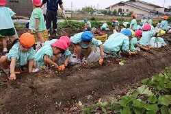 f:id:d-chuo:20181023130632j:plain