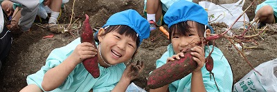 f:id:d-chuo:20181023130636j:plain