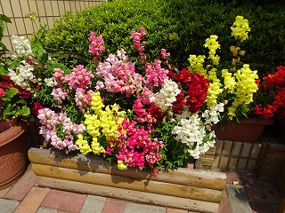 f:id:d-chuo:20200416113727j:plain f:id:d-chuo:20200416113727j:plain