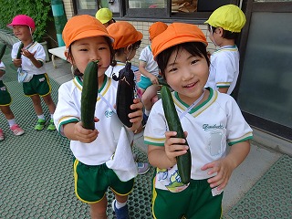 f:id:d-chuo:20200605120906j:plain