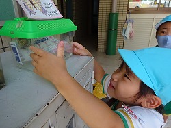 f:id:d-chuo:20200722175521j:plain