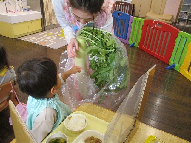 f:id:d-chuo:20201210134559j:plain