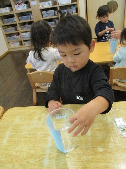 f:id:d-chuo:20201210134650j:plain