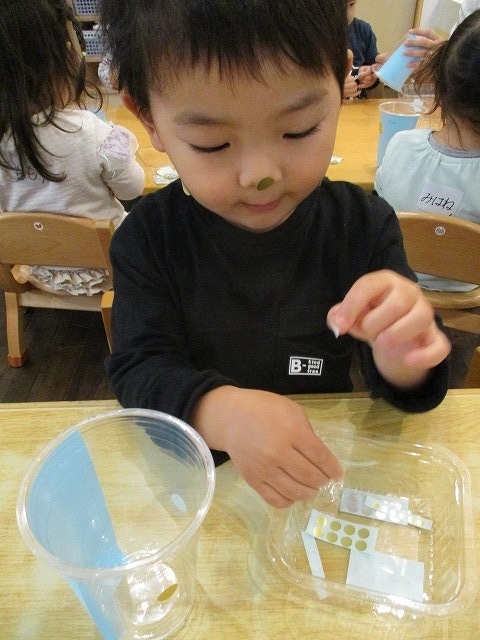 f:id:d-chuo:20201210134702j:plain