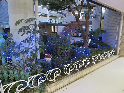 f:id:d-chuo:20201214170102j:plain