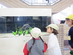 f:id:d-chuo:20210126084101j:plain