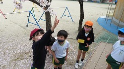 f:id:d-chuo:20210329143200j:plain
