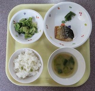 f:id:d-chuo:20210520124006j:plain