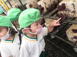f:id:d-chuo:20210716125426j:plain