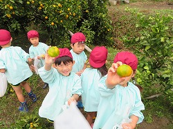 f:id:d-chuo:20211026133310j:plain