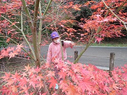 f:id:d-chuo:20211204154803j:plain