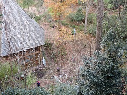 f:id:d-chuo:20211204154822j:plain