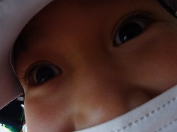 f:id:d-chuo:20220131151853j:plain