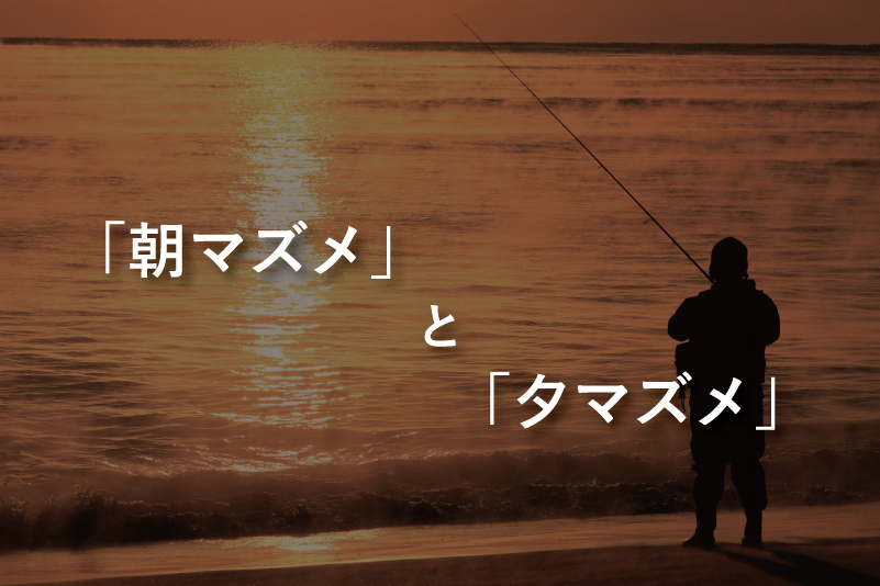 f:id:d-f-work:20181022212818j:plain f:id:d-f-work:20181022212818j:plain