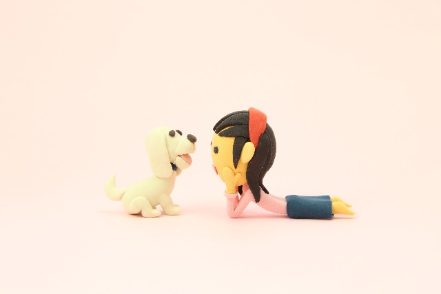 犬と飼い主 犬と飼い主の画像