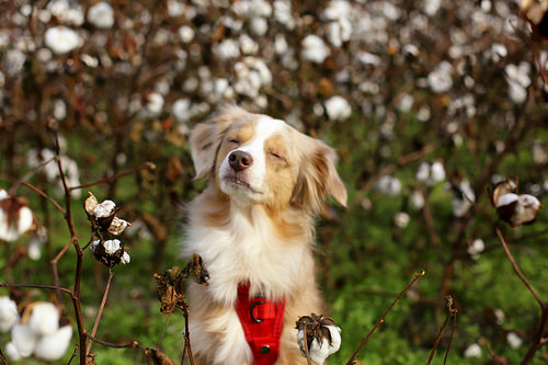 f:id:d-monkey:20161019191836j:plain