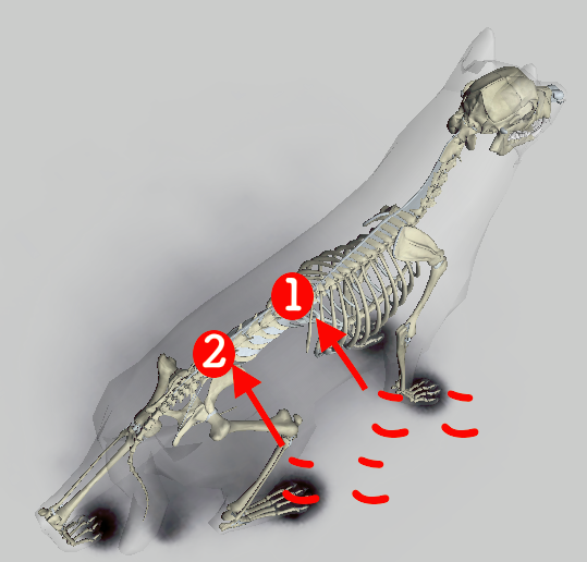 f:id:d-monkey:20161104155229p:plain