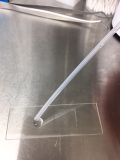 f:id:d-monkey:20161121152035j:plain