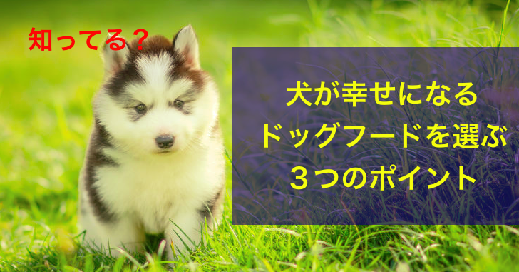 f:id:d-monkey:20181119183144p:plain f:id:d-monkey:20181119183144p:plain