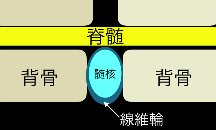 f:id:d-monkey:20190215132752p:plain f:id:d-monkey:20190215132752p:plain