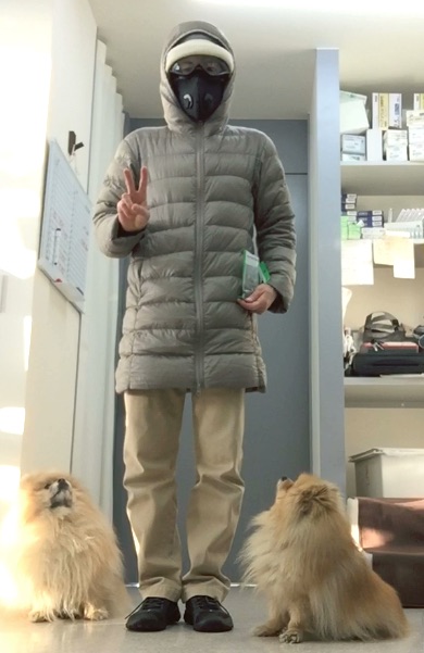 f:id:d-monkey:20190313083020j:plain f:id:d-monkey:20190313083020j:plain