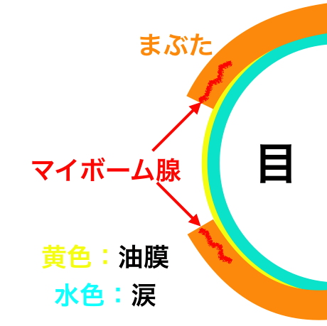 f:id:d-monkey:20190518132453p:plain