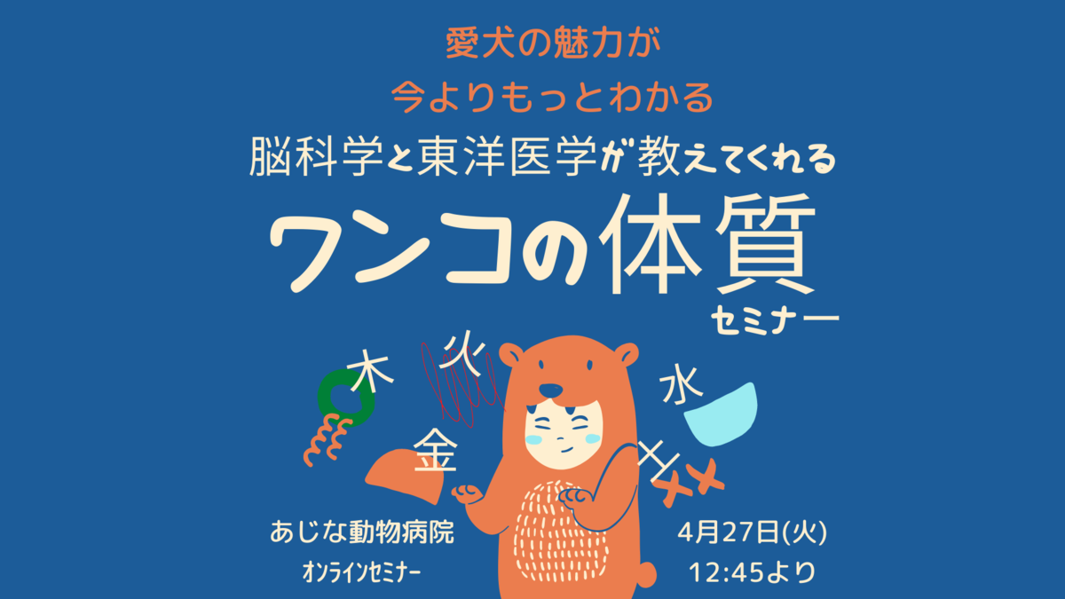 犬の体質, セミナー