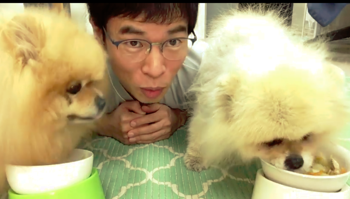 f:id:d-monkey:20211110133337p:plain