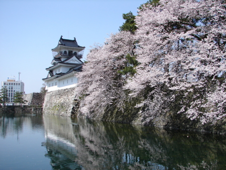 f:id:d-murata:20110410111615j:image f:id:d-murata:20110410111615j:image