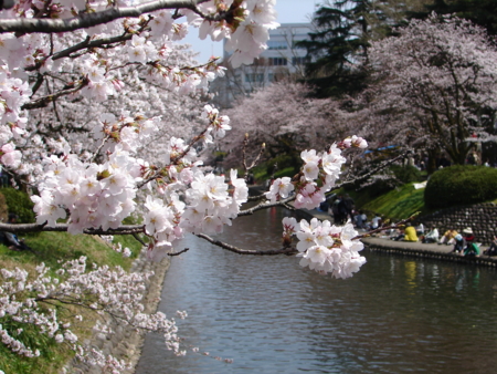 f:id:d-murata:20110410115100j:image f:id:d-murata:20110410115100j:image