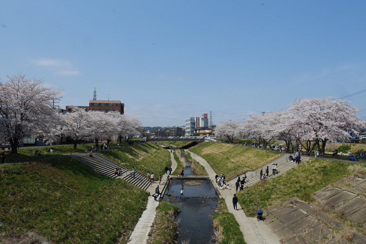 f:id:d-naka07:20210406235004j:plain