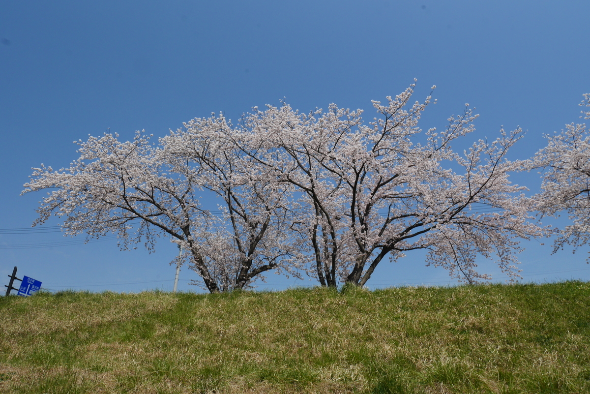 f:id:d-naka07:20210406235212j:plain