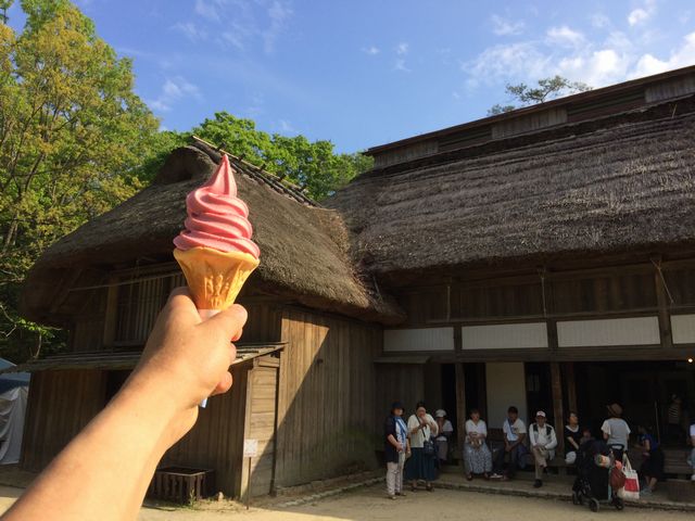 イメージ 5