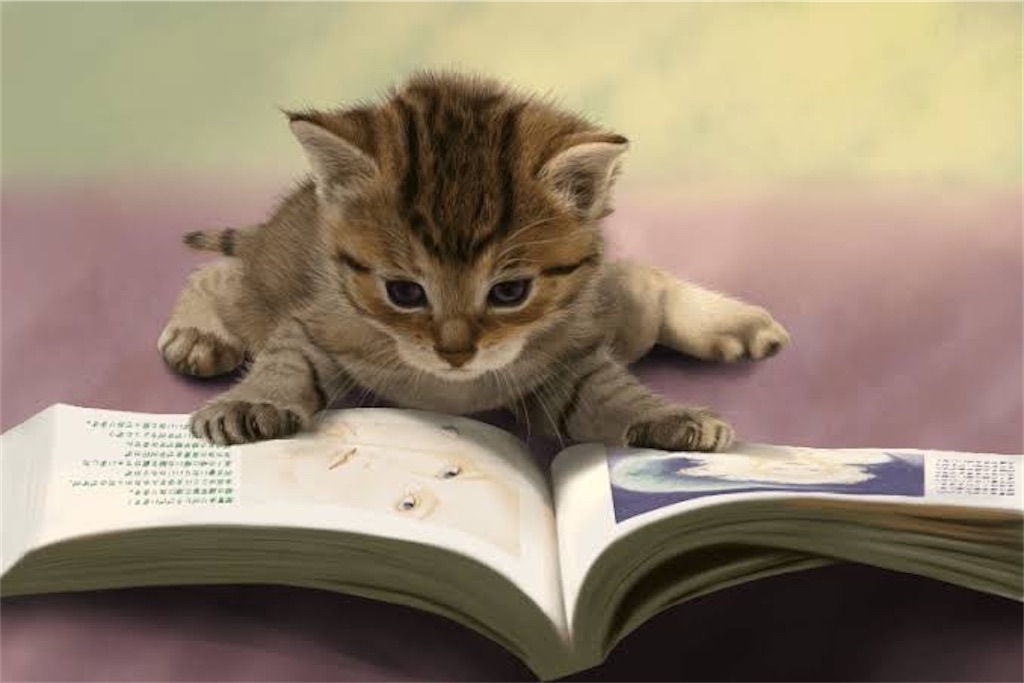 f:id:d-study-brave:20200425105637j:image